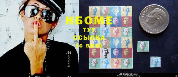 твердый Алзамай
