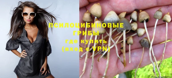 амф Алексин