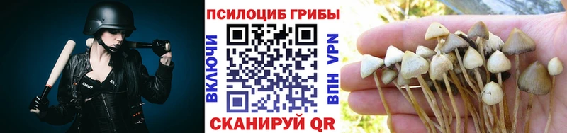 Галлюциногенные грибы Psilocybe  МЕГА зеркало  площадка Telegram  Апшеронск 