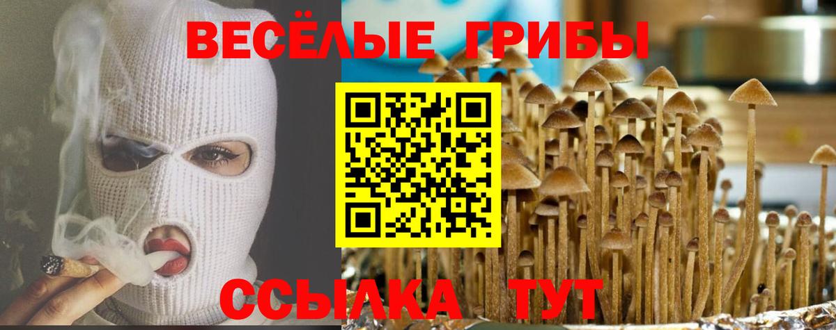 Апшеронск  Галлюциногенные грибы ЛСД  Вход с VPN 